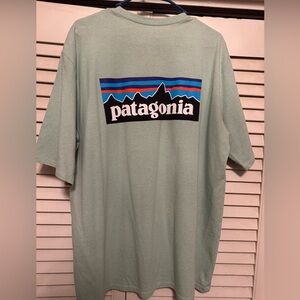 Patagonia Men's Sage Green Tee
